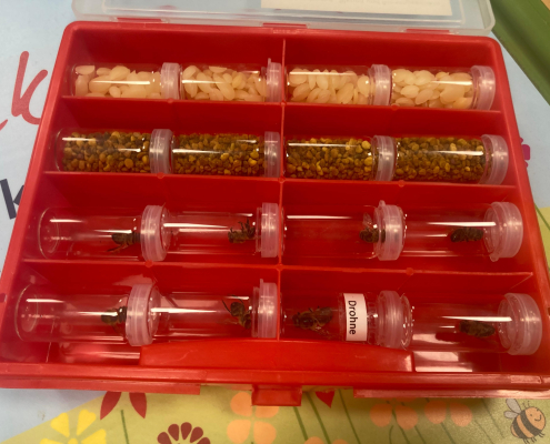 Bienenkoffer2