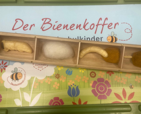Bienenkoffer3